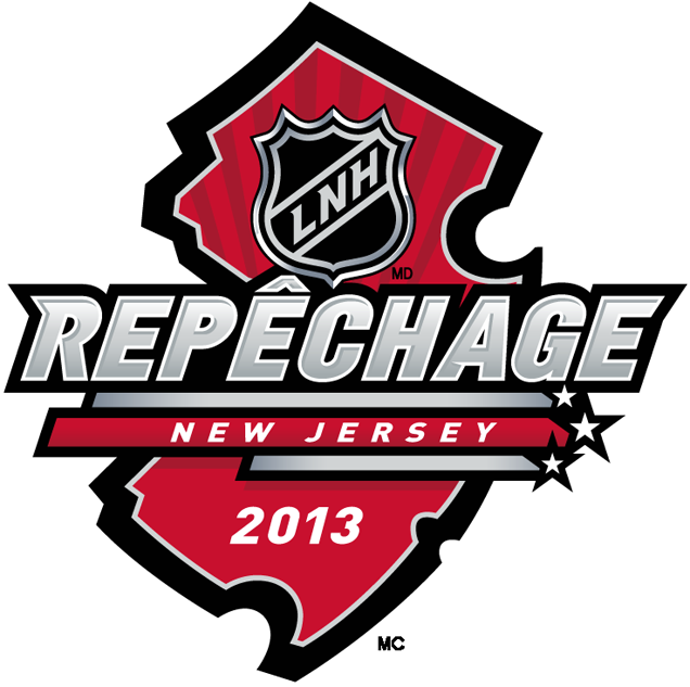 NHL Draft 2013 Alt. Language Logo iron on transfers for clothing